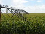  Hot Sale center pivot irrigation system 